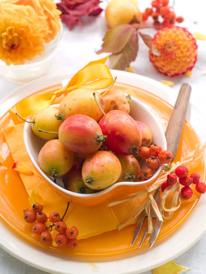 Thanksgiving table setting ideas, DIY place setting